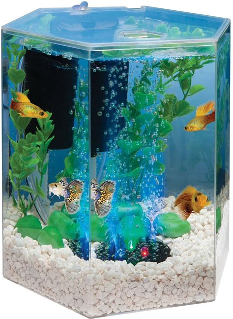 Tetra Hexagon Aquarium Kit With Led Bubbler 1 Gallon Aquarium Views