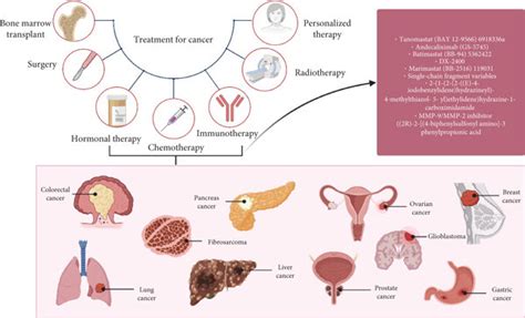 Types Of Cancer Treatment Different Modalities Evolving From Download Scientific Diagram