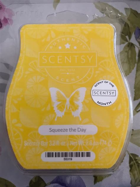 Scentsy Scent Scentsy Bars Squeeze Lunch Box Wax Soft Bento Box