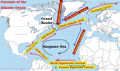 Atlantic Ocean Currents Sargasso Sea Pmf Ias