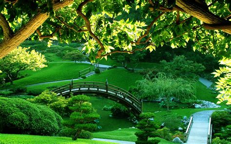 Green Garden 1801609 Beautiful Nature Pictures Beautiful Gardens