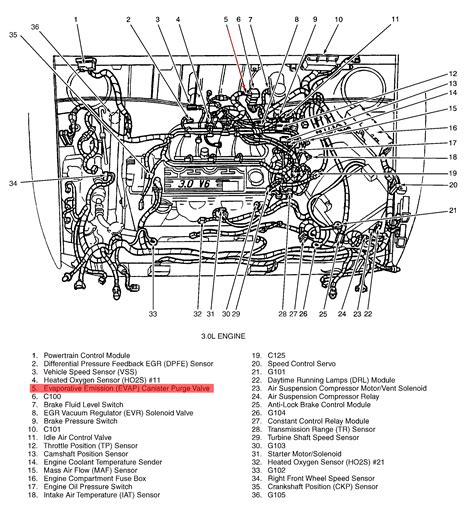 Qanda Ford P1443 Code Troubleshooting And Solutions