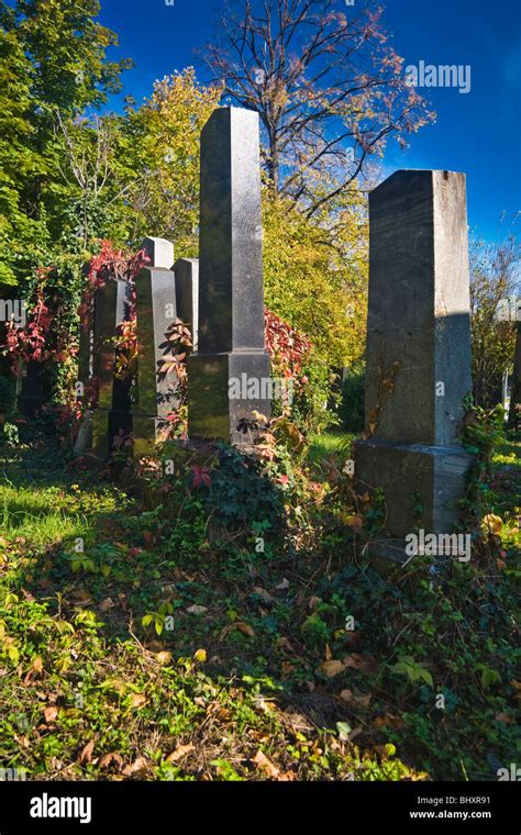 Herbst Auf Dem Zentralfriedhof In Wien Österreich Europa
