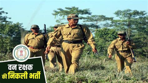 Cg Forest Recruitment 2024 वन विभाग में 1484 पदों पर निकली भर्ती