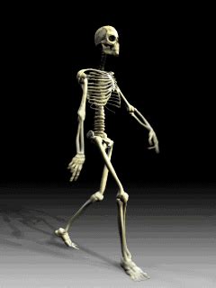 Fast shipping + free personalization! Funny Skeleton | Funny skeleton, Animated images, Cute gif