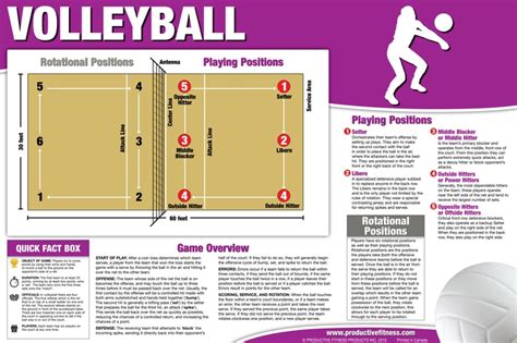 The ball is served over the net to the opposing team. Volleyball Poster/Chart - $24.95 Our volleyball overview ...
