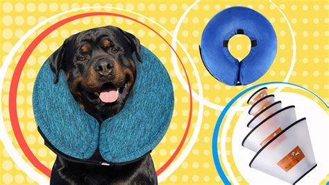 Best Dog Cones Top Rated Dog Cones Of 2022 Retrievist Retrievist