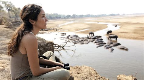 Episódios Planeta Safari Documentários Natureza E Vida Selvagem Rtp