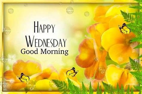 Happy Wednesday Good Morning Pictures Photos And Images For Facebook