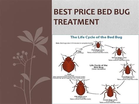 Kill All The Bugs And Their Eggs With Bed Bug Heat Treatment