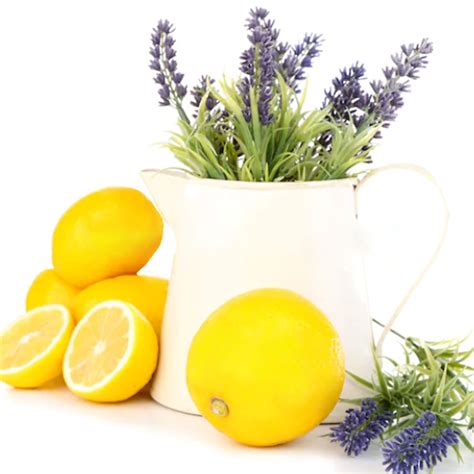 Lemon And Lavender Fragrance Oil 🛁 Lavender Fragrance Lemon Lavender