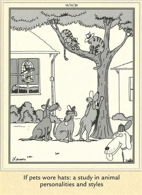 13 Comic Strips Featuring Cats By The Far Side Противоположная