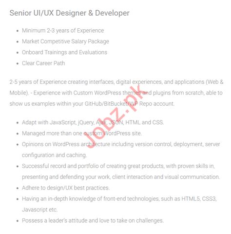 Senior UI/UX Designer & Developer Jobs 2019 2021 Job Advertisement Pakistan
