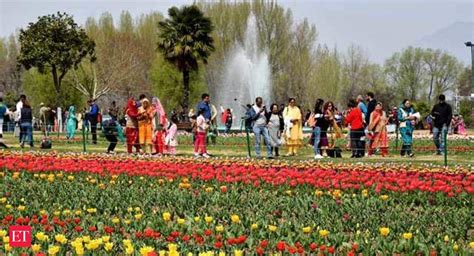 Tulip Garden Asias Largest Tulip Garden In Srinagar Open To Visitors