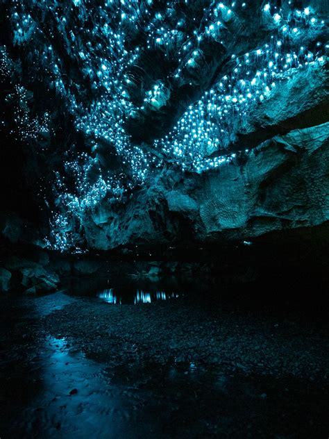More From The Extraordinary Glow Worm Caves In Waipu This Time Taken