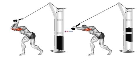 Cable High Pulley Overhead Tricep Extension Home Gym Review