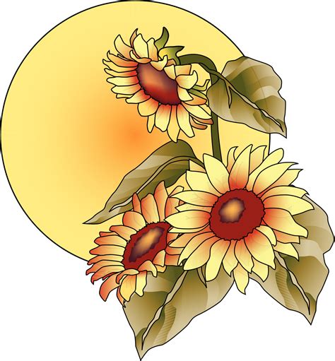 September Clipart Sunflower September Sunflower Transparent Free For