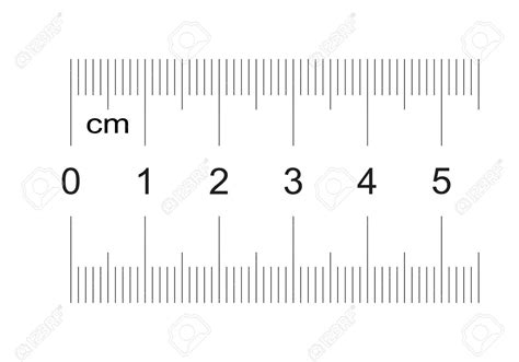Ruler Of 50 Millimeters Ruler Of 5 Centimeters Calibration