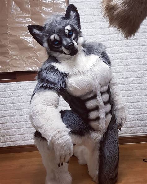 Pin By N Mukum On Fursuit Fursuit Furry Furry Suit Furry Wolf