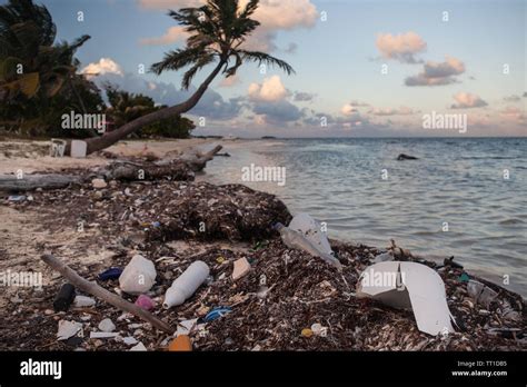 Plastic Garbage Has Washed Up On A Remote Beach In The Caribbean Sea Off The Coast Of Belize