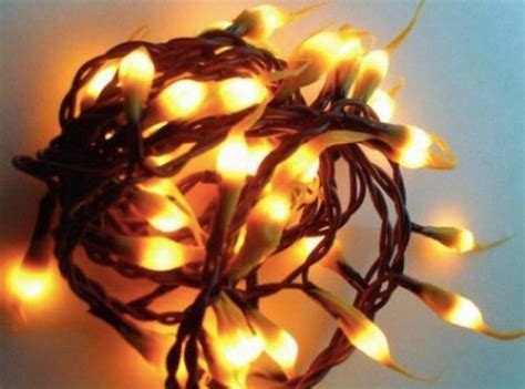 35 Count Primitive Silicone Dipped Teeny Bulb And Brown Cord String