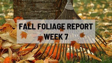 Fall Foliage Report Week 7 News10 Abc