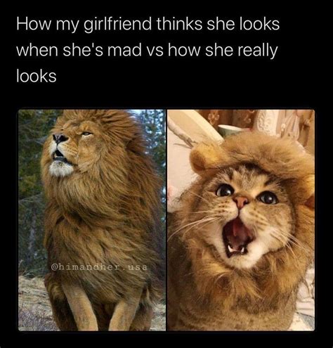 How My Girlfriend Thinks She Looks When She S Mad Vs How She Really Looks Pictures Photos And
