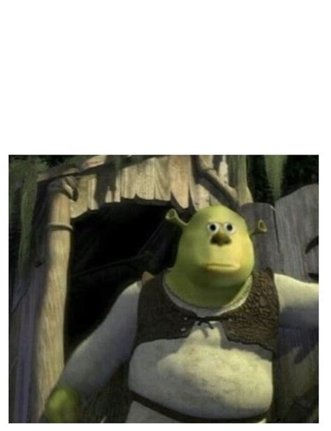 Shrek With Mike Wazowski Face Rmemetemplatesofficial
