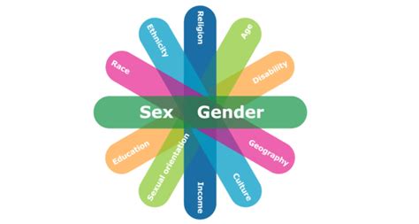Gender Equality Week Understanding Gender And Sexual Diversity Terminology Hillnotes