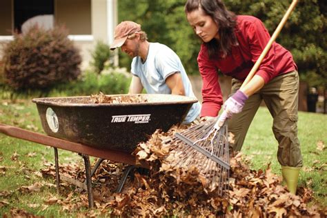 At home insider perks credit cardholders are eligible to earn rewards on purchases made with their at home insider perks credit card or at home insider perks mastercard. The Home Depot | 5 Ways to Prepare Your Lawn and Garden ...