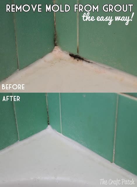 Diy Mold Removal Home And Heart Diy