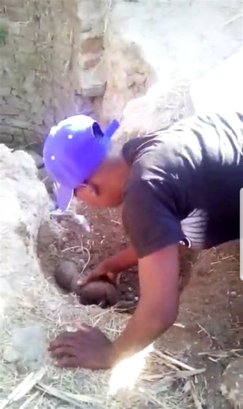 Baby dumping throwing the baby is the most easily done by a couple who committed fornication and pregnancy. Video: Baby dumping - Musvo Zimbabwe