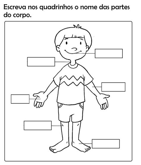 Partes Do Corpo Humano Kids Toda Matéria