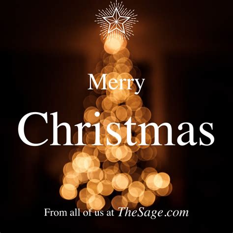 We Wish You A Merry Christmas — Adventures With The Sage