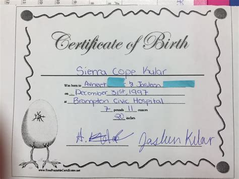 Baby Egg Project Birth Certificate