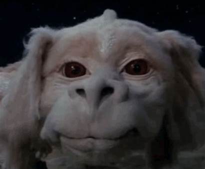 Neverending Story Creatures Falcor Mythical Dragon Luck