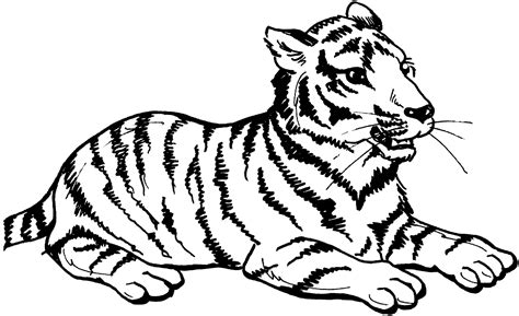 Cute Baby Tiger Coloring Pages Coloring Home