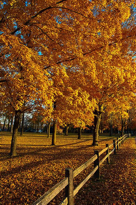 Autumn Fence Photograph By Phil Koch Fine Art America