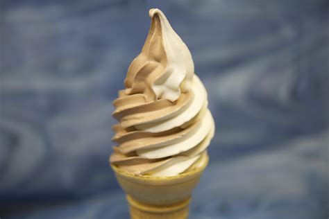 Vanilla Swirl Ice Cream