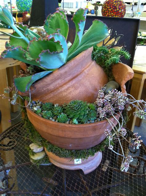 Broken Pot With Succulents Designed By Kristin Middleton Broken Pot