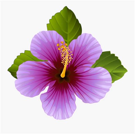 Purple Flower Clipart Purple Hawaiian Flowers Clip Art Free