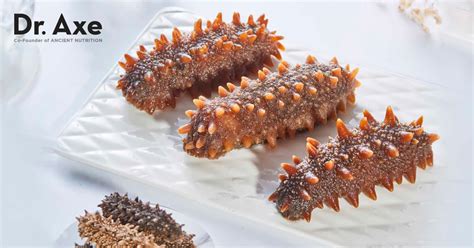 Benefits Of Eating Sea Cucumber Plus Nutrition Facts Dr Axe