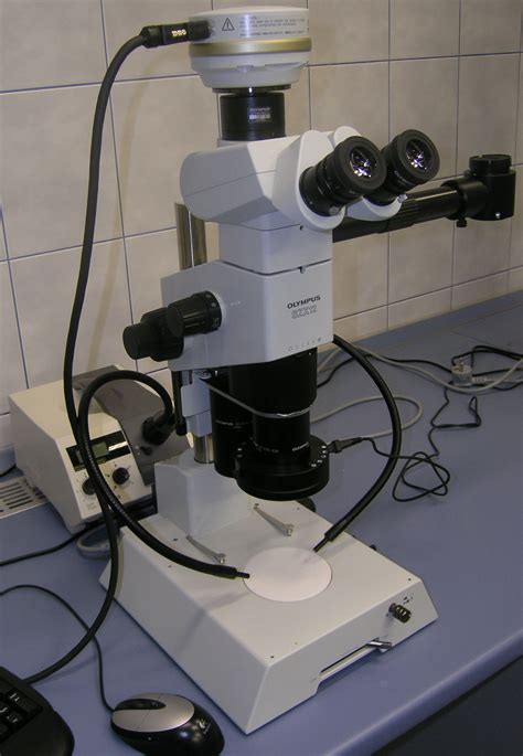 Mikroskopy — Přírodovědecká Fakulta Uk