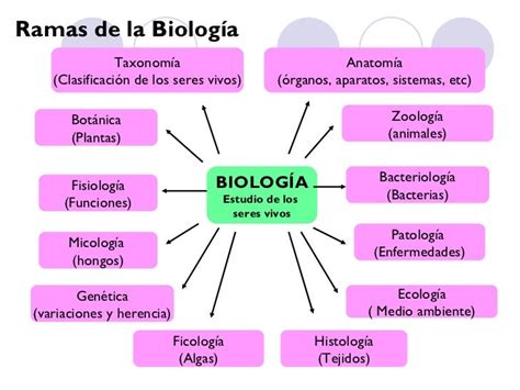 Mapa Conceptual De Biologia