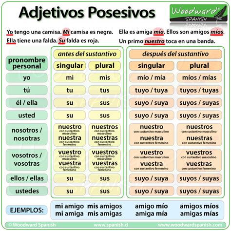 Los Adjetivos Posesivos En Español Possessive Adjectives In Spanish