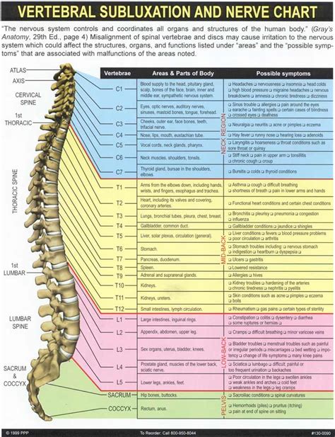 Nerve Pain Spine Nerve Pain Chart