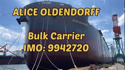 Alice Oldendorff Bulk Carrier Imo 9942720 Youtube