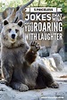 5 priceless jokes that will have you roaring with laughter - Roy Sutton