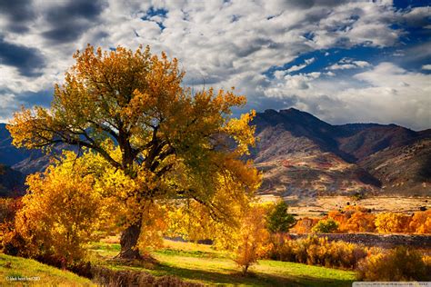 Beautiful Autumn Scenery Colorado Ultra Hd Desktop