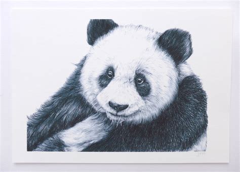 Panda Art Print Animal Pen Drawing Panda Illustration Etsy